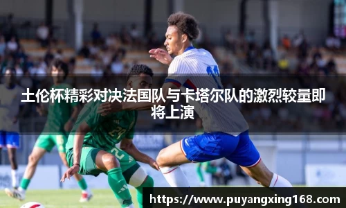 JNTY江南